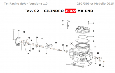 O-Ring Zylinderkopf innen 250/300 2 Takt ab Mod. 2015