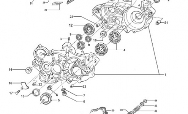 Wellendichtring Kurbelwelle rechts 250 - 300cc